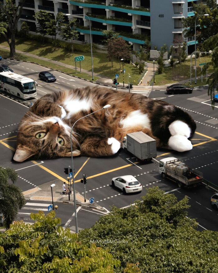 Giant cat lying on a busy city intersection, with cars and buildings around, showing cats ruling the world.