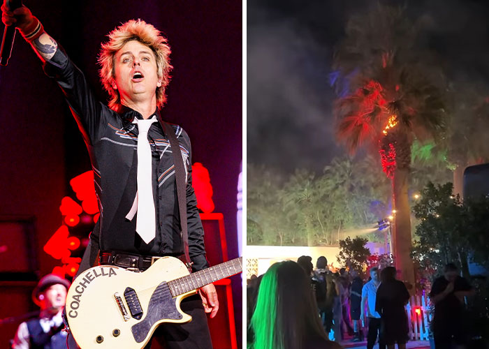 Performer at Coachella 2025 with a guitar, and a palm tree lit up in vibrant colors at night.