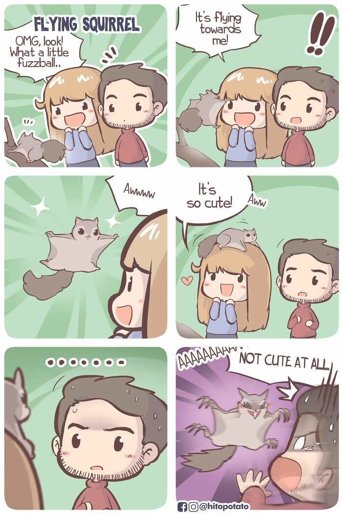 HitoPotato comic of a cross-cultural couple reacting to a flying squirrel's cute then scary antics in a sweet, silly moment.