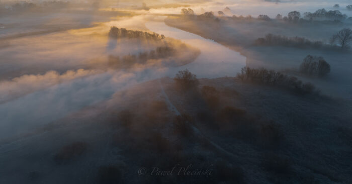 Magical Fog In My Area