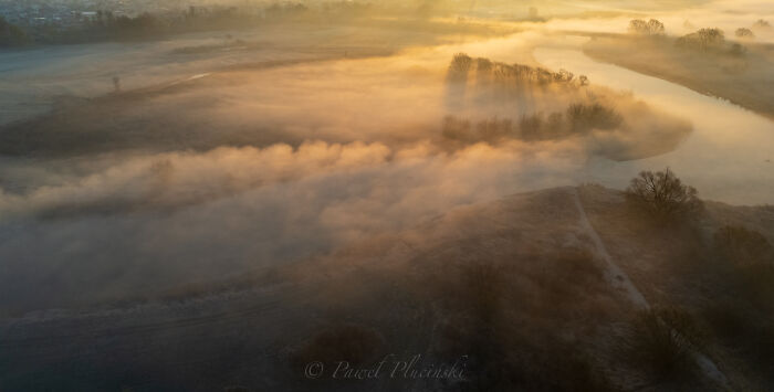 Magical Fog In My Area