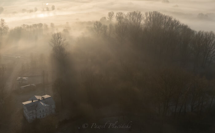 Magical Fog In My Area