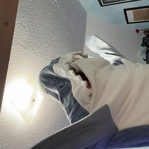 violetfinnegan avatar