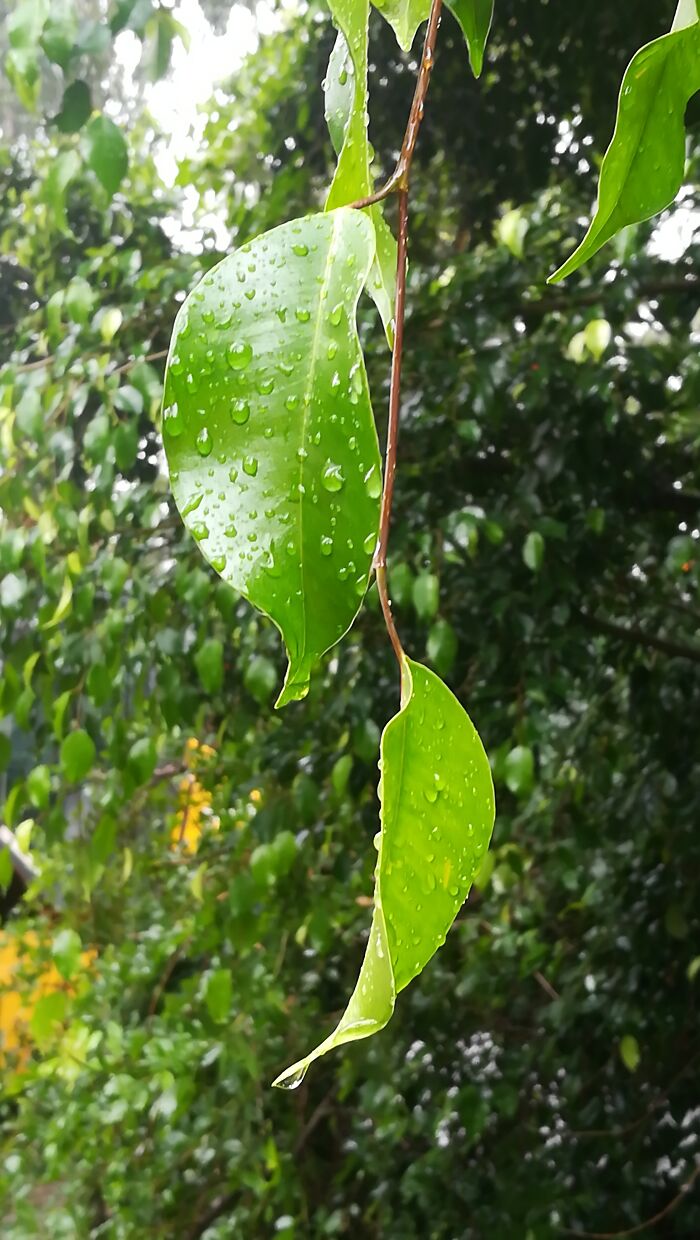 I Took Some Photos In The Wild, Here's The Result