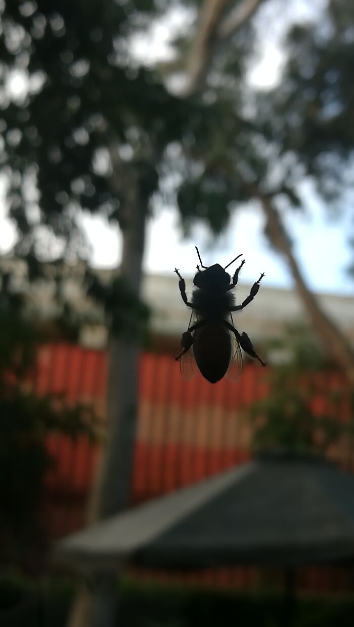 I Took Some Photos In The Wild, Here's The Result