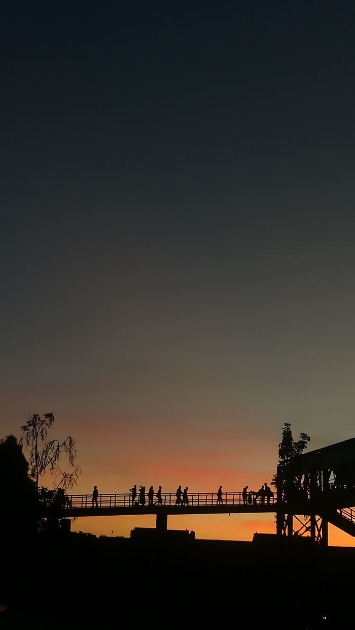 I Took Some Photos In The Wild, Here's The Result