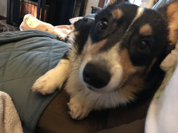 You Can’t Stay Upset, Sad Or Angry With This Love Bug. She Always Makes Me Laugh And Feel Better