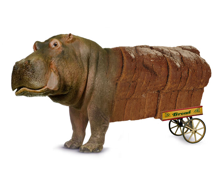 Bread Hippo