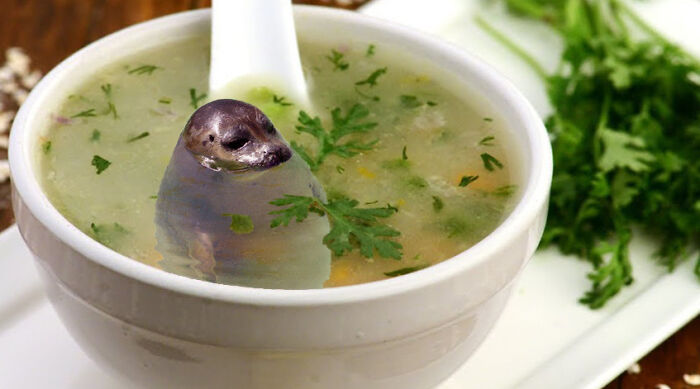 Seal Soup