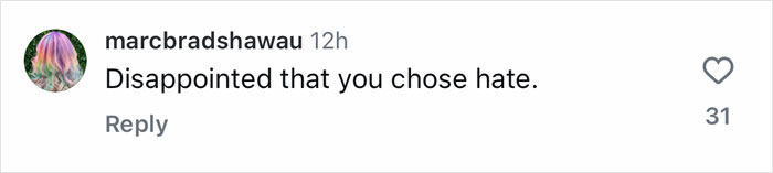 Fan comment on social media expressing disappointment over Nick Frost's decision to play Hagrid.