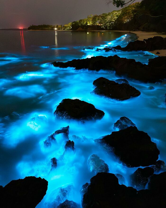 Bioluminescent ocean waves glowing blue at night, captured at the shore where ocean meets sky.