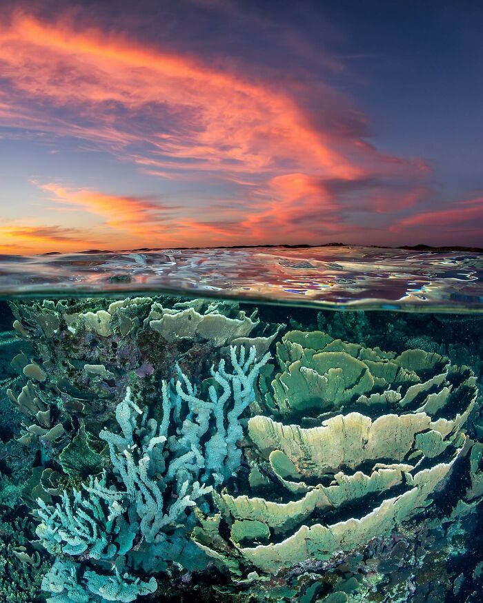 Coral reef beneath vibrant sunset sky, ocean meets sky.
