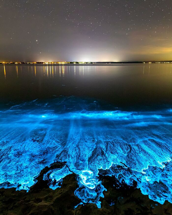 Bioluminescent shore under starry sky, captured by Jordan Robins, showcasing ocean meets sky magic.