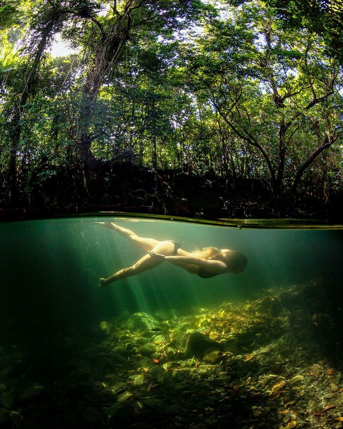 Woman swimming underwater in clear water, sunlight filtering through forest; captures magical world where ocean meets sky.