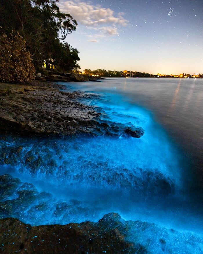 Bioluminescent waves glow blue under a starry sky, illustrating the magical ocean-meets-sky world.