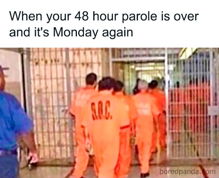 Prison inmates in orange suits walking back to cells, humorously captioned about the struggle of returning to work on Monday.