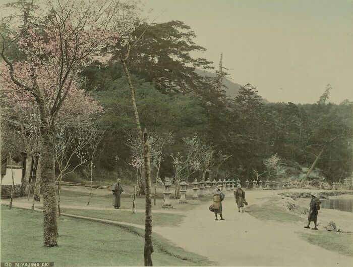 People walking along a tree-lined path near stone lanterns showing Japan life in the 1800s with traditional clothing.