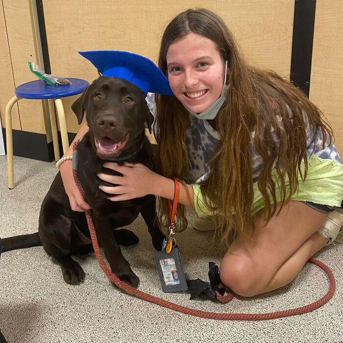 Young woman crouching next to Breuer, the Labrador, wearing a blue cap, smiling and holding his leash indoors.