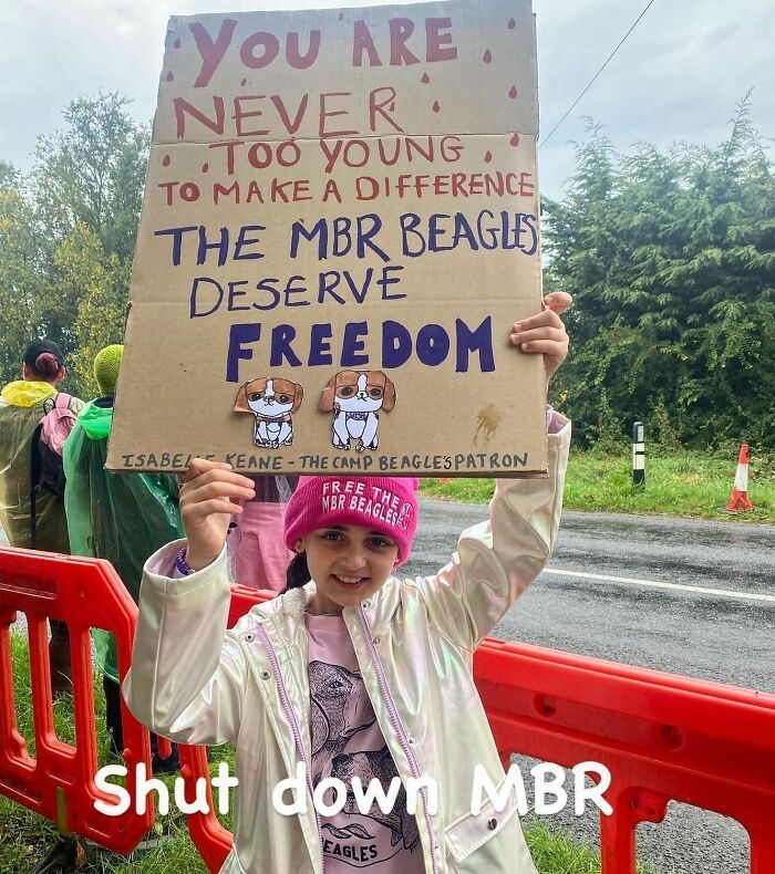 After A Year Of Cruelty As A Test Subject, This Dog Finally Knows What It Means to Be Loved