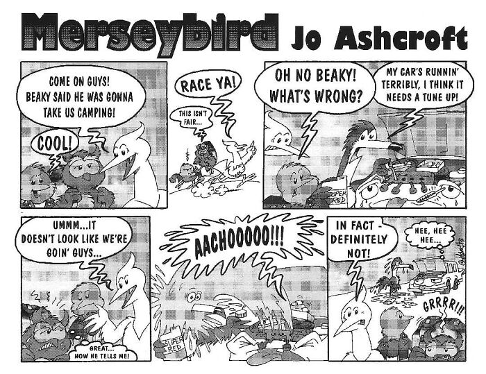 Comic strip from Merseybird featuring a Liverbird and friends on a humorous camping adventure.
