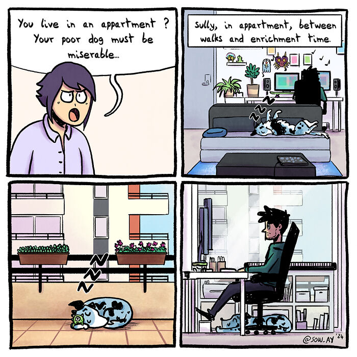 Many People Think We Can’t Have A Dog In Appartment