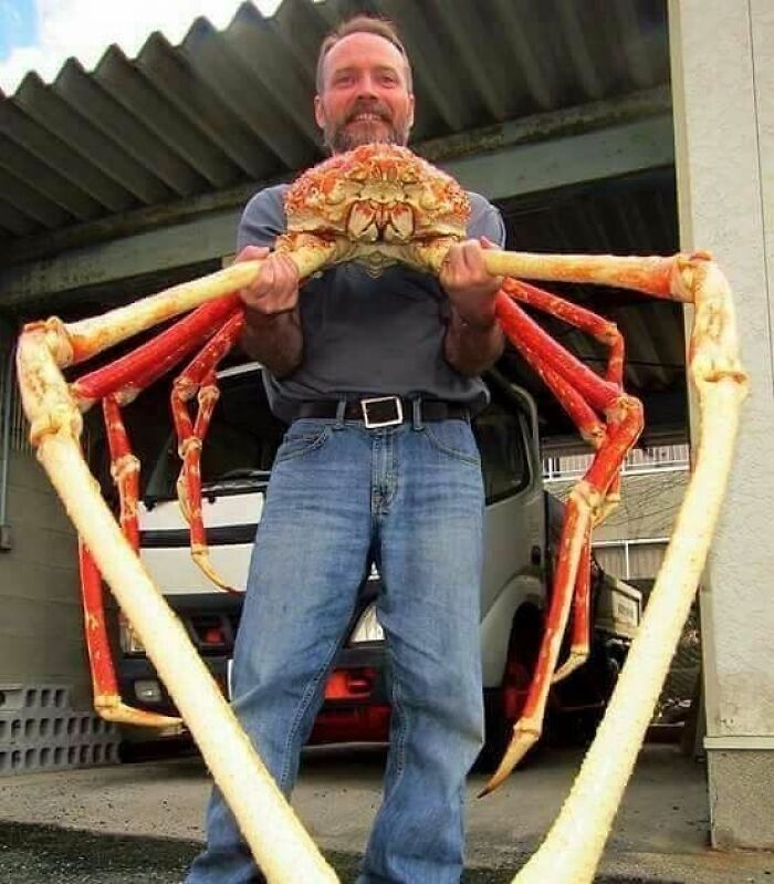 Man holding a giant crab found in the ocean, showcasing one of the strangest ocean discoveries.