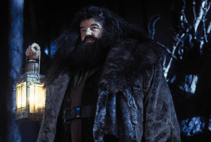 Nick Frost as Hagrid holding a lantern in a dark forest, wearing a fur coat in 'Harry Potter' series scene.