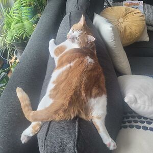 jenniferdmann avatar