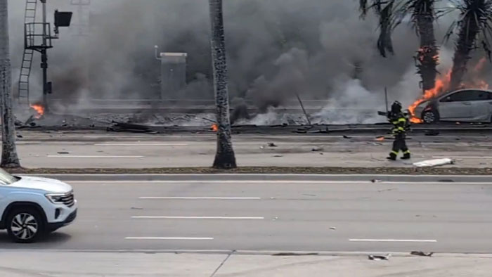 Firefighter approaching plane explosion wreckage in Florida near a road lined with palm trees and dense smoke.