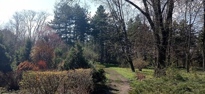 My Reflections On An Art Plein Air At The Dnipro Botanical Garden