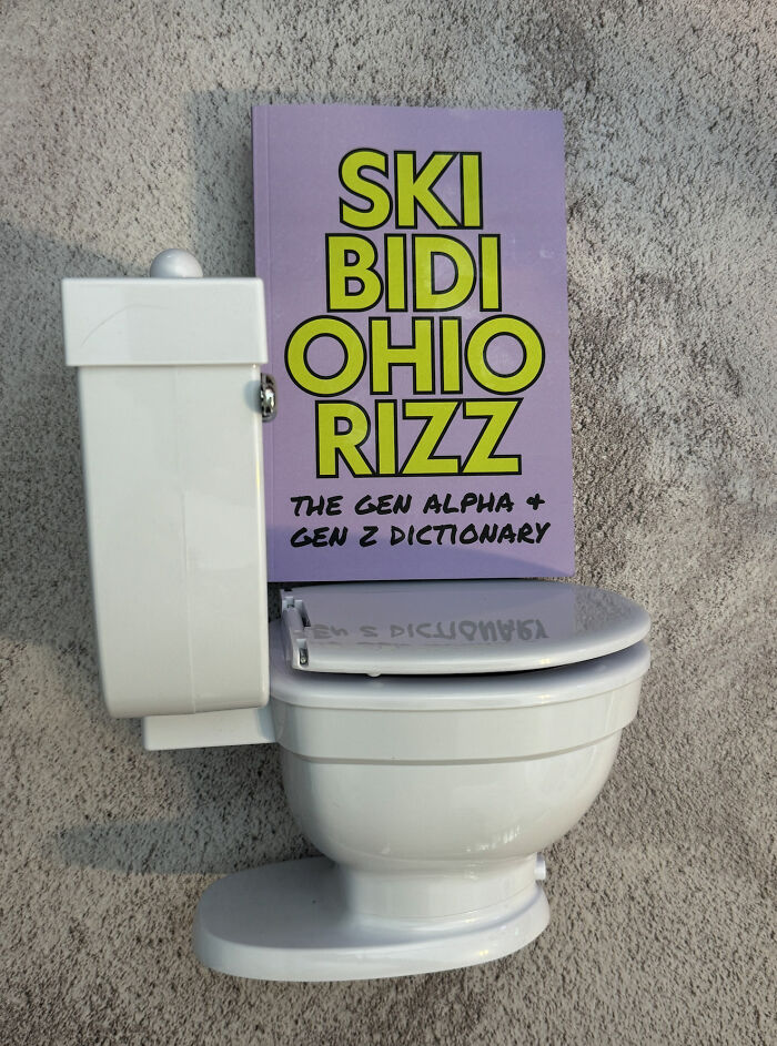 I Made This Funny Workbook-Style Book Called Skibidi Ohio Rizz