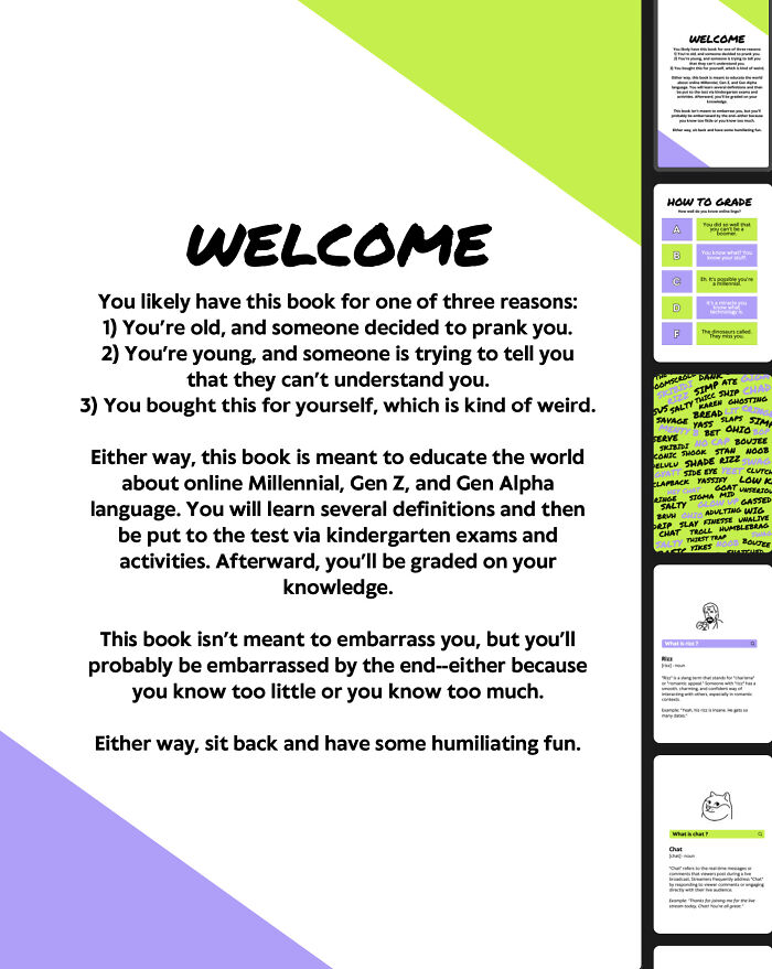 I Made This Funny Workbook-Style Book Called Skibidi Ohio Rizz