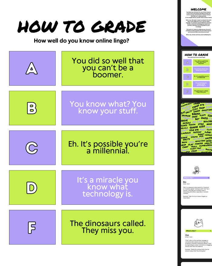 I Made This Funny Workbook-Style Book Called Skibidi Ohio Rizz