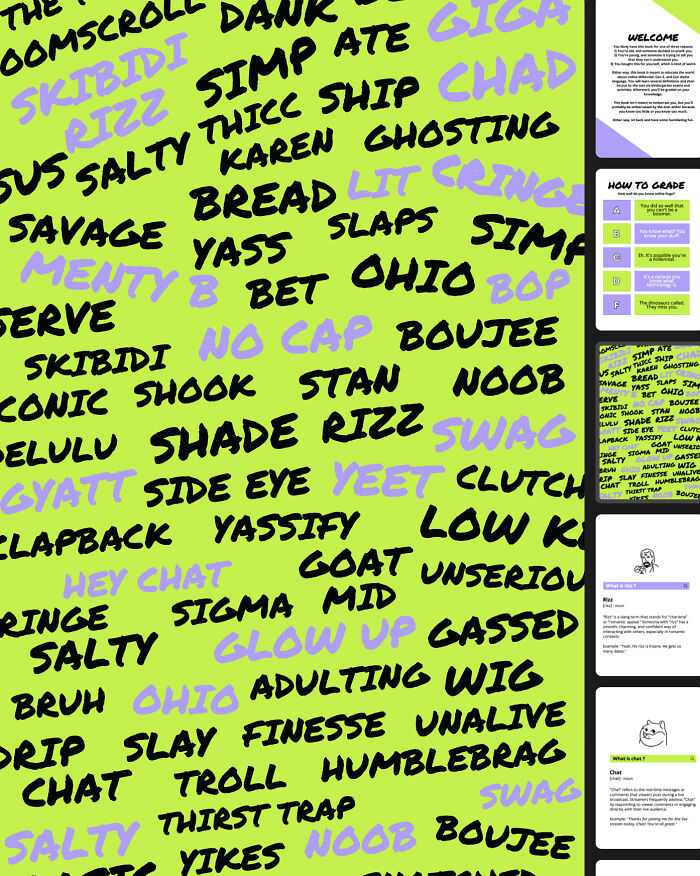 I Made This Funny Workbook-Style Book Called Skibidi Ohio Rizz