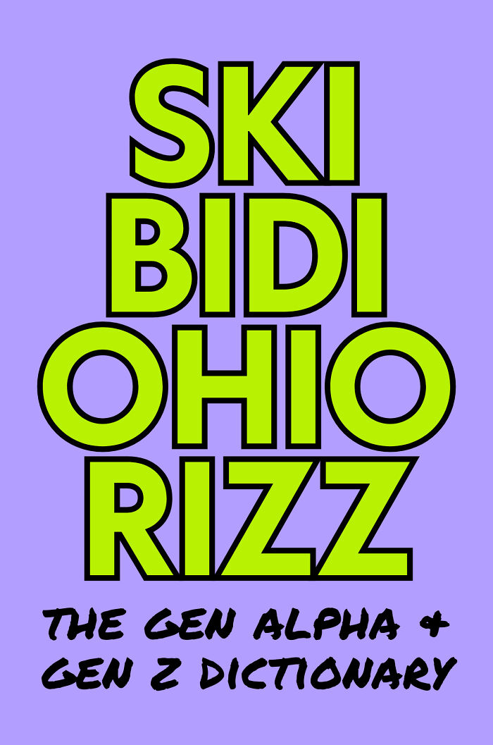 I Made This Funny Workbook-Style Book Called Skibidi Ohio Rizz