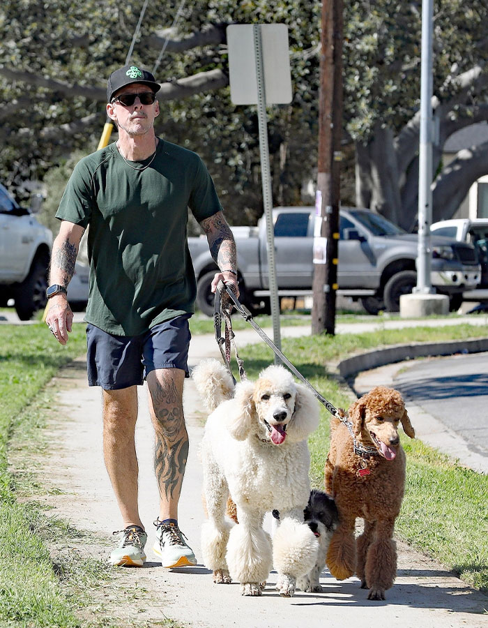 Person walking three poodles on a suburban sidewalk, wearing casual clothes and sunglasses, related to Weezer bassist news.