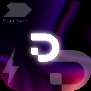 Duplicate