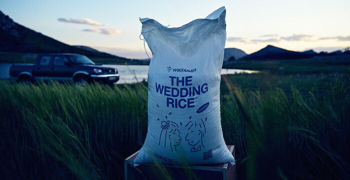 The Wedding Rice The Wedding Rice