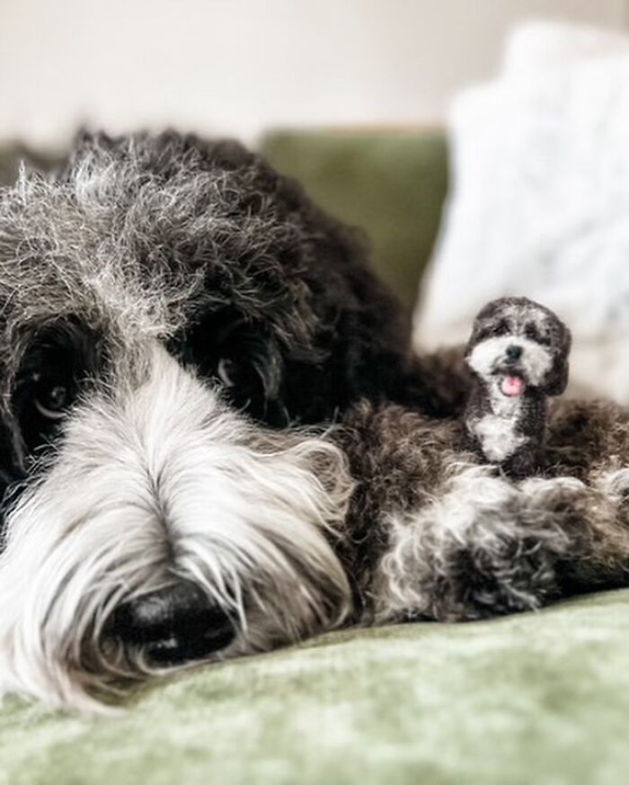 Cute felted pet sculpture beside the real dog, showcasing artist's adorable creations.