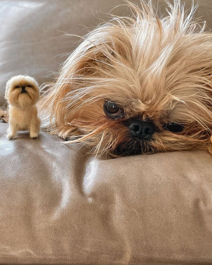 Shaggy dog with cute felted pet version by its side on a couch.