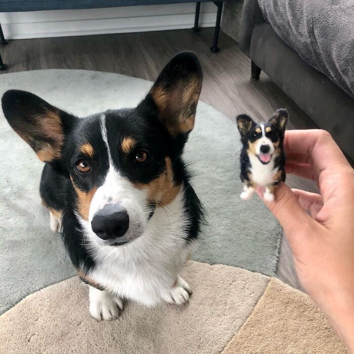 Corgi sitting on a rug next to a hand holding a cute felted miniature version of the pet.