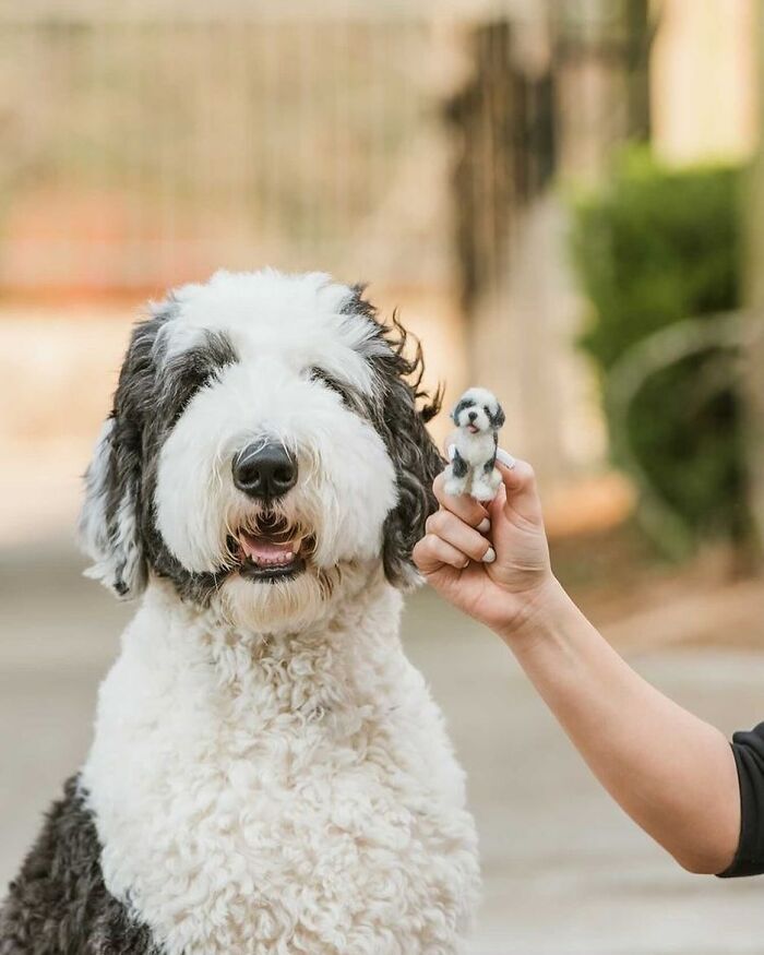 Adorably cute felted dog miniature held beside the real fluffy dog.