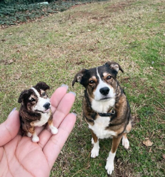 Hand holding a cute felted pet version next to the real dog on grass.