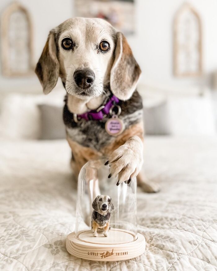 Cute felted pet version next to a beagle on a bed, showcasing felt art creativity.