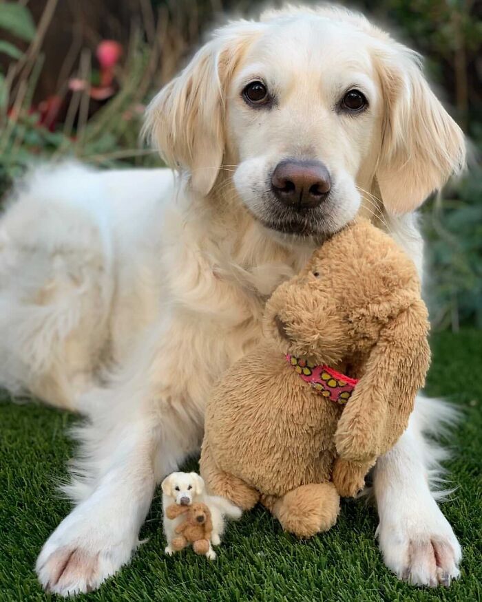 Cute felted pets: a white dog with a plush toy and a small felted version on grass.