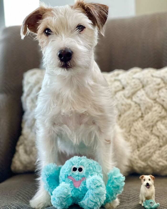 Cute felted pet with matching real dog and toy on a couch.