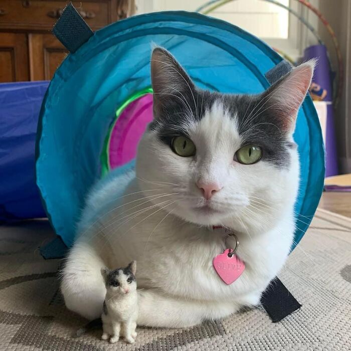 Cute felted pet version beside a matching real cat in a colorful tunnel.
