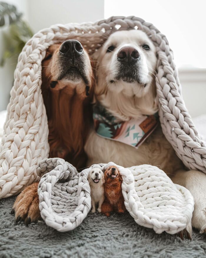 Two dogs under a blanket with cute felted versions of themselves in front.