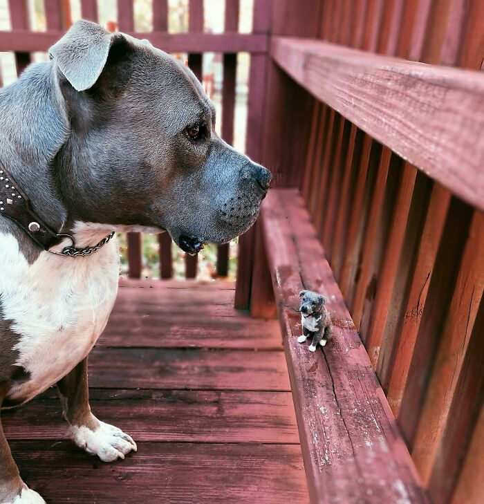A dog on a wooden deck gazes at a cute felted mini version of itself created by an artist.