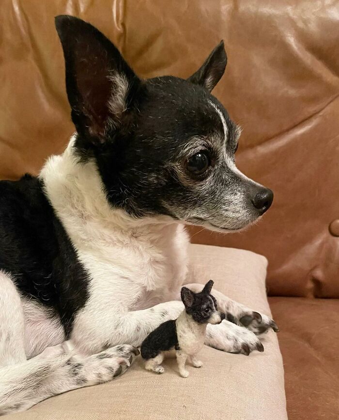 Black and white dog sitting with a cute felted mini version of itself on a brown couch.